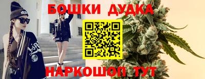 крисы Пугачёв